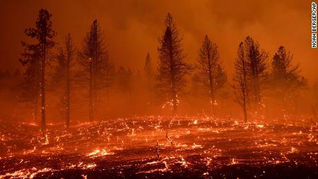 ਅਮਰੀਕਾ 'ਚ ਬਰਲਿੰਗਟਨ ਦੇ ਜੰਗਲਾਂ 'ਚ ਭਿਆਨਕ ਅੱਗ