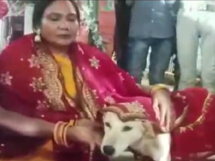 Dogs Wedding: बिहार में कुत्ते की शादी में आए 400 बाराती, विवाह देखने के लिए पहुंचे कई गांव के लोग