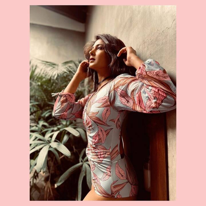 जेनिफर विंगेट ने अभी तक के अपने करियर में कई दमदार कैरेक्टर प्ले किया है.