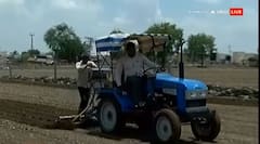 રાજકોટમાં 28% વિસ્તારમાં વાવણીલાયક વરસાદ,જિલ્લામાં સૌથી મગફળી અને કપાસનું વાવેતર