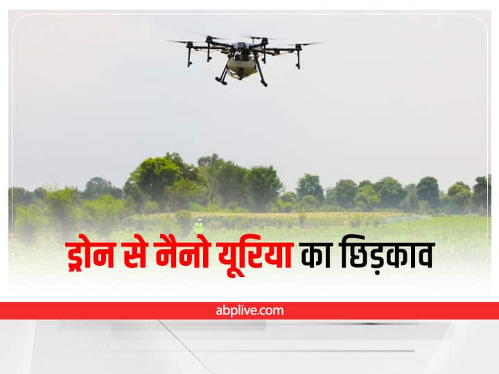 MP News Nano Urea sprayed through drone in Katni Agriculture Minister gives reaction ANN Katni News: खेत में ड्रोन से नैनो यूरिया का छिड़काव, केंद्रीय कृषि मंत्री बोले- ऐसा करने वाला कटनी बना देश का पहला जिला