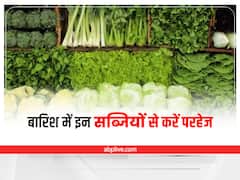 Health Tips: बारिश में इन सब्जियों से करें परहेज, हो सकता है नुकसान