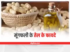 Health Tips: मूंगफली का तेल बढ़ाता है गुड कॉलेस्ट्रॉल, वजन घटाने में मिलेगी मदद