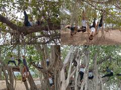 International Yoga Day 2022: क्या कभी पेड़ से लटककर योग करते देखा है? उदयपुर से आई ये तस्वीरें