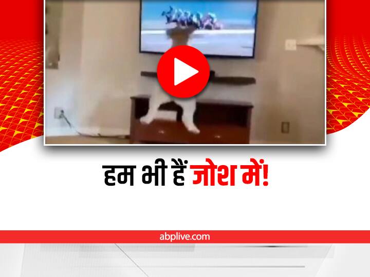 Watch: घोड़े की रेस में कुत्ते ने भी लगाए पैसे! वीडियो देखकर आप भी यही सोचेंगे Dog jumping in excited while watching horse race on tv goes viral Watch: घोड़े की रेस में कुत्ते ने भी लगाए पैसे! वीडियो देखकर आप भी यही सोचेंगे