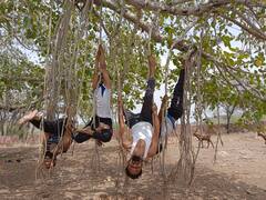 International Yoga Day 2022: क्या कभी पेड़ से लटककर योग करते देखा है? उदयपुर से आई ये तस्वीरें