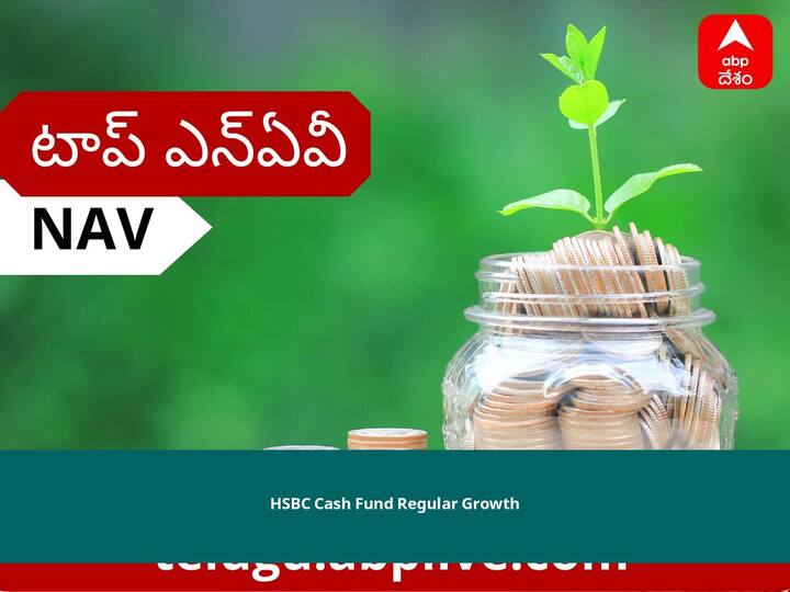 HSBC Cash Fund-Regular-Growth NAV Today June 20, 2022 HSBC Mutual Fund Know Net Asset Value Price Scheme Investment Interest Rate Details HSBC Cash Fund-Regular-Growth NAV June 20, 2022: నెట్ అసెట్స్ విలువ, ధర, స్కీమ్, పెట్టుబడి, వడ్డీరేటు తెలుసుకోండి