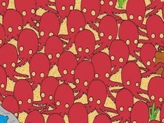 Optical Illusion: ఈ ఆక్టోపస్‌ల మధ్యలో ఒక చిన్న చేప ఇరుక్కుపోయింది, మీరు కనిపెట్టగలరా?