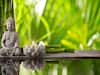 Feng Shui Tips: ફેંગશુઈની આ ટિપ્સ બદલી નાંખશે તમારી જિંદગી, ક્યારેય નહીં થાય ધન-ધાન્યની કમી