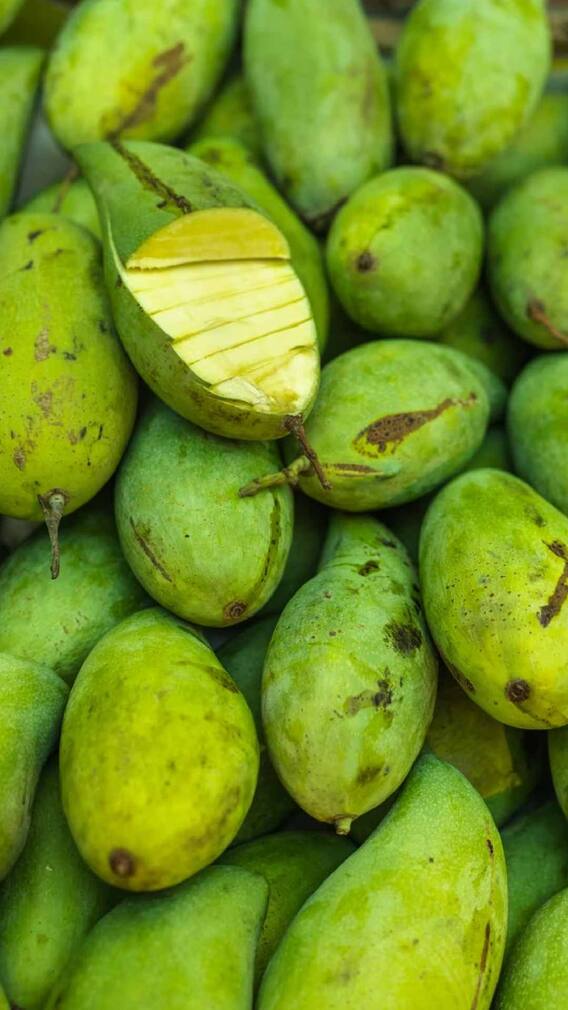 Health Tips: कच्चे पपीते में होते हैं कई गुण; लाभ जानें
