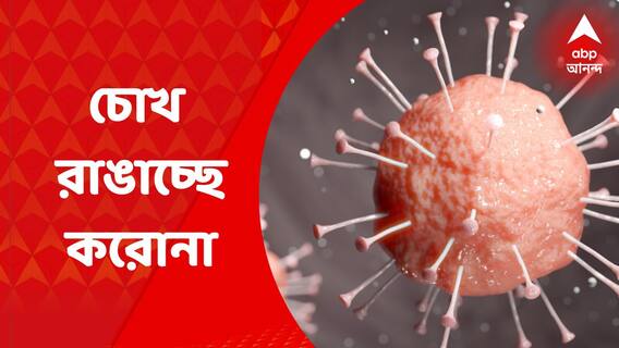 Coronavirus Update: রাজ্যে ফের চোখ রাঙাচ্ছে করোনা, একদিনে ২জনের মৃত্যু | Bangla News