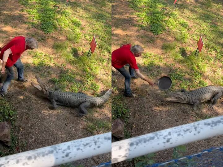 Australian Pub Owner Kai Hansen Fights Off Crocodile With A Frying Pan Caught On Camera Caught On Camera: Australian Pub Owner Swats Away Crocodile With A Frying Pan — WATCH