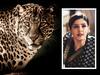 Raveena Tandon: వీడియో - కారు బొన్నెట్‌లో చిక్కుకుని పులి విలవిల, నటి రవీనా టాండన్ భావోద్వేగం