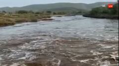 અરવલ્લીના ભિલોડાની હાથમતી નદીમાં નવા નીર, નદી બે કાંઠે થઇ વહેતી