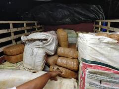 Crime : மதுரையில் நடந்த வணிகவரித்துறை வாகன சோதனை.. சுமார் 1000 கிலோ கஞ்சா பறிமுதல்..
