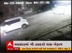 વલસાડ: છીપવાડ વિસ્તારમાં ગૌ તસ્કરો થયા સક્રિય