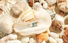 Business Idea: ਸਿਰਫ 50,000 ਰੁਪਏ ਦਾ ਨਿਵੇਸ਼ ਕਰਕੇ ਸ਼ੂਰ ਕਰ ਸਕਦੇ ਹੋ ਮੋਤੀਆਂ ਦੀ ਖੇਤੀ ਦਾ ਕਾਰੋਬਾਰ