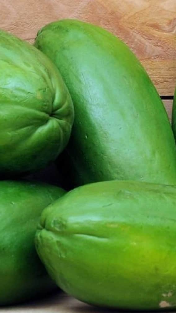 Health Tips: कच्चे पपीते में होते हैं कई गुण; लाभ जानें
