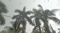 Gujarat Rain: રાજ્યમાં આજે ક્યાં ક્યાં થઈ મેઘમહેર, જાણો વિગત