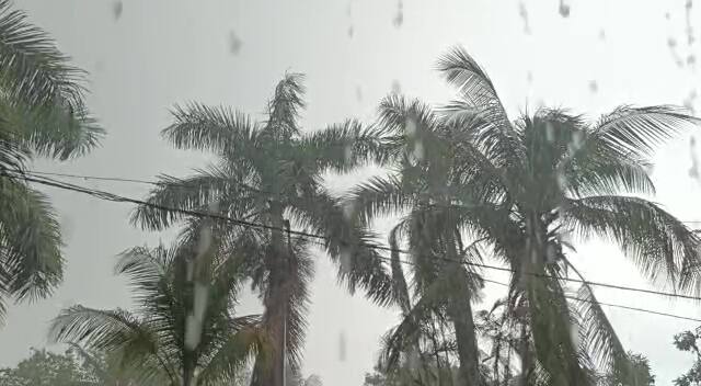 ગુજરાતમાં ત્રણ દિવસ પછી ભારે વરસાદની હવામાન વિભાગની આગાહી છે. આગામી ત્રણ દિવસ સામાન્ય વરસાદ રહેશે. જોકે, 25 થી 26 વરસાદનું જોરનું વધશે.