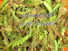 Chinta Chiguru: కిలో చికెన్ కన్నా కిలో చింతచిగురు ధరే ఎక్కువ, ఈ సీజన్లో దానికెందుకంత క్రేజ్