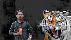 Tiger Fear in Kakinada District : మేతకు తీసుకెళ్లాలంటే ముచ్చెమటలు పడుతున్నాయ్ | ABP Desam