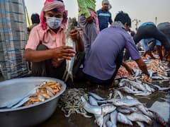 Corona Cases: దేశంలో మళ్లీ పెరిగిన కరోనా కేసులు- 13 మంది మృతి