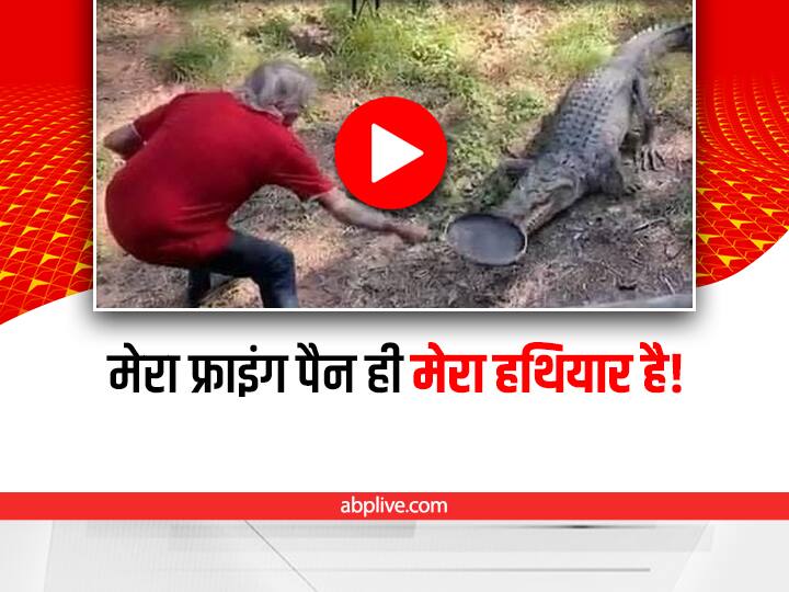 Watch: फ्राइंग पैन से किया मगरमच्छ पर वार, देखकर सभी हो गए हैरान trending video of an elderly man attacking on crocodile using frying pan goes vial on social media Watch: फ्राइंग पैन से किया मगरमच्छ पर वार, देखकर सभी हो गए हैरान