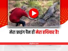 Watch: फ्राइंग पैन से किया मगरमच्छ पर वार, देखकर सभी हो गए हैरान
