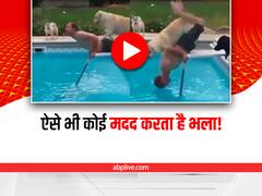 Watch: मालिक की हेल्प करने गया था कुत्ता, लेकिन हो गया उसका उल्टा, देखोगे तो हंसते रह जाओगे