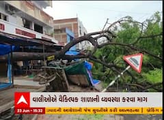 પંચમહાલ: વૃક્ષ ધરાશાયી થતા શાળાને થયું નુકસાન