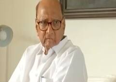 પવારની ઉદ્ધવ ઠાકરેને સલાહ, શિંદેને બનાવી દો મુખ્યમંત્રી જુઓ ફટાફટમાં