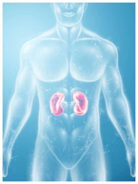 क्रिएटिनिन का स्तर कम करने के आसान टिप्स