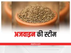 Ajwain Steam: सादे पानी के बजाय अजवाइन के साथ लें स्टीम, कई समस्याएं होंगी दूर