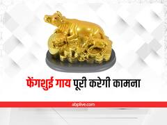 Feng Shui for Cow: घर में फेंगशुई गाय रखने के 3 फायदे, जानें किस मुद्रा में बैठी गाय देगी कौन सा लाभ