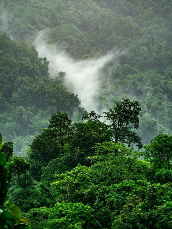 இயற்கையைப் பாதுகாக்க வேண்டிய வழிகள்