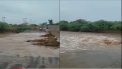 અમરેલીના રાજુલામાં પડ્યો વરસાદ,