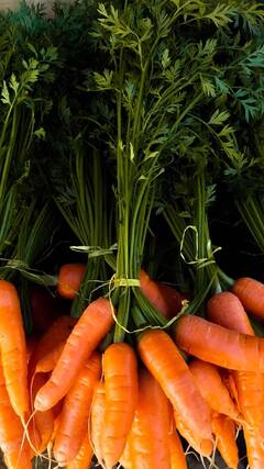 Health Tips : बहुगुणी गाजर आहे आरोग्यासाठी गुणकारी; जाणून घ्या फायदे