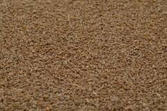 Ajwain Steam: सादे पानी के बजाय अजवाइन के साथ लें स्टीम, कई समस्याएं होंगी दूर