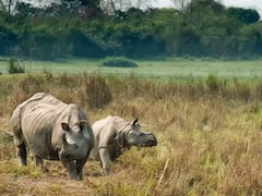 Uttarakhand: Corbett Park को लेकर त्रिवेंद्र सरकार का दिया प्रस्ताव खारिज..जानिए क्या है ये पूरा मामला?