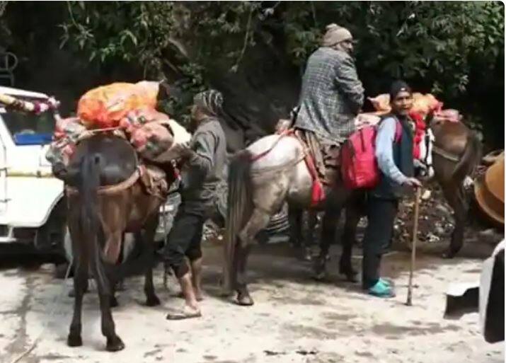 Kedarnath Yatra: So far 103 horses and mules have lost their lives in Kedarnath Yatra, due to negligence of owners Kedarnath Yatra: 175 ਘੋੜਿਆਂ ਅਤੇ ਖੱਚਰਾਂ ਦੀ ਮੌਤ 'ਤੇ ਮਾਲਕਾਂ ਨੇ ਕਮਾਏ 56 ਕਰੋੜ, ਜਾਣੋ ਦਰਦਨਾਕ ਕਹਾਣੀ