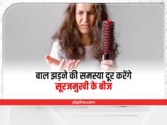 Hair Care: बालों के लिए फायदेमंद हैं सूरजमुखी के बीज, जानिए कैसे करें इस्तेमाल