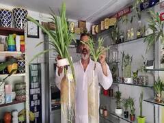 Hydroponic: மண், தண்ணீர் இல்லா தோட்டம்! ஹைட்ரோஃபோனிஸ் தொழில்நுட்பத்தில் அசத்தும் விவசாயி!