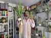 Hydroponic: மண், தண்ணீர் இல்லா தோட்டம்! ஹைட்ரோஃபோனிஸ் தொழில்நுட்பத்தில் அசத்தும் விவசாயி!