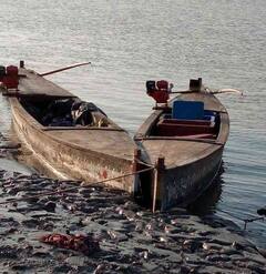 પાકિસ્તાનની વધુ એક નાપાક હરકત, હરામીનાળામાંથી ઝડપાઈ 9 બોટ; જુઓ આ વીડિયો