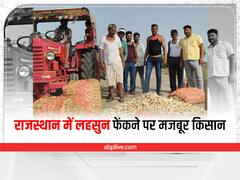 Kota News: राजस्थान में किसानों के बुरे हाल, बारिश शुरू होते ही खराब होने लगा लहसुन, फेंकने को मजबूर किसान