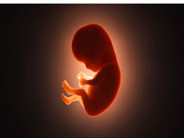 bombay high court allowed abortion of 26 week fetus pregnancy cites supreme court judgement Abortion : 26 आठवड्यांच्या भ्रूणाच्या गर्भपाताला मुंबई उच्च न्यायालयाची परवानगी, सर्वोच्च न्यायालयाचा हवाला देत निर्णय