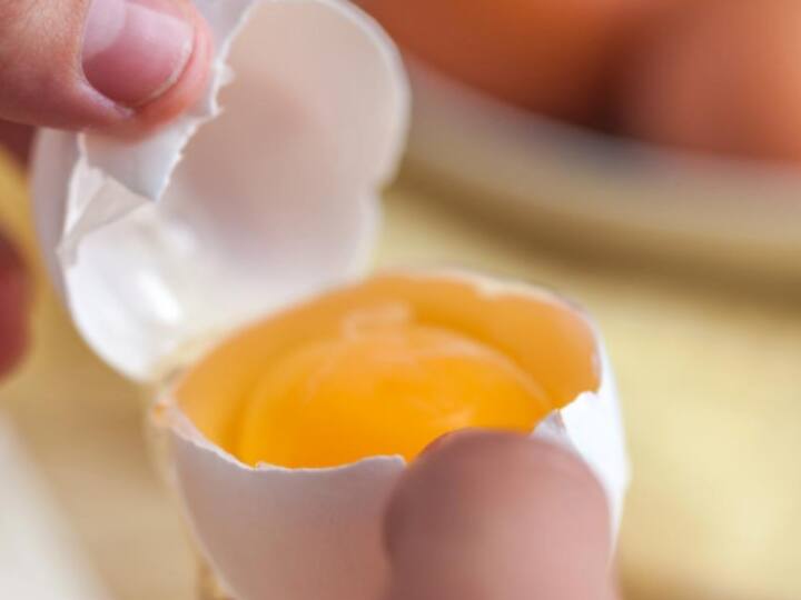 side effects and benefits of eating egg yolk Egg Yolk: क्या गर्मियों में नहीं खाना चाहिए अंडे का पीला भाग? जानिए