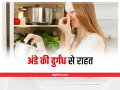 Hair Care Egg: अंडा लगाने के बाद बालों से नहीं आएगी दुर्गंध, ये है घरेलू नुस्खा