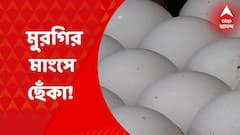 Chicken Price Hike: ফের মুরগির মাংস ও ডিমের দাম লাফিয়ে বাড়ল। Bangla News